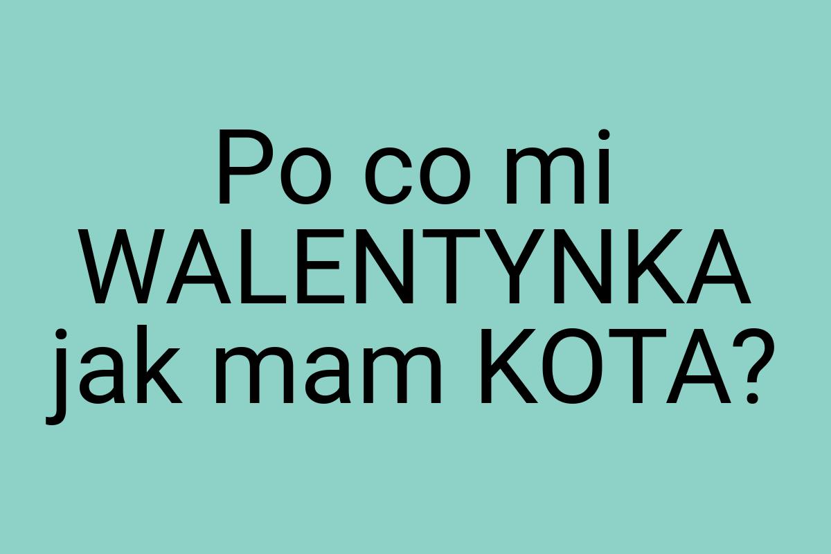 Po co mi WALENTYNKA jak mam KOTA