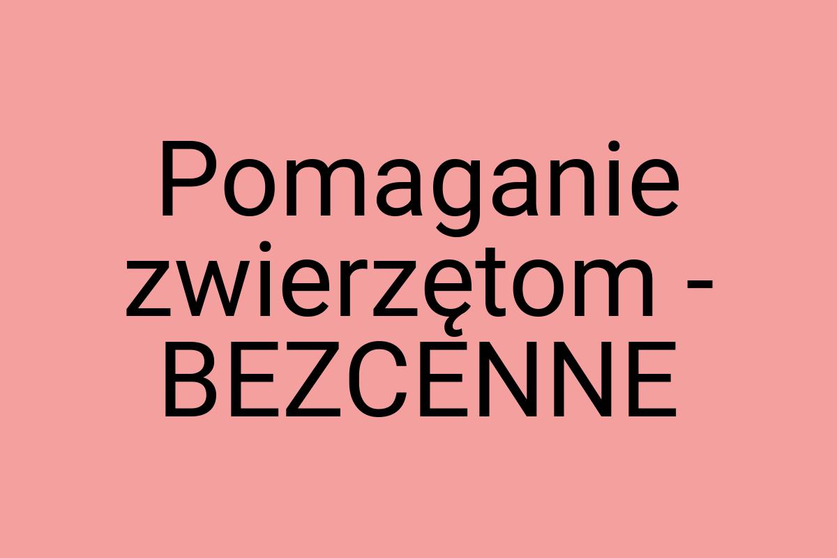 Pomaganie zwierzętom - BEZCENNE