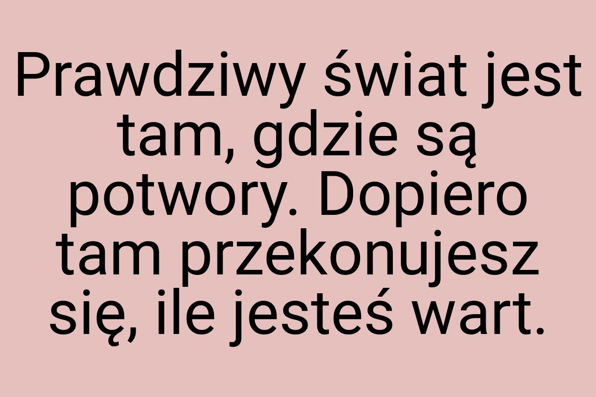 Prawdziwy świat jest tam, gdzie są potwory. Dopiero tam