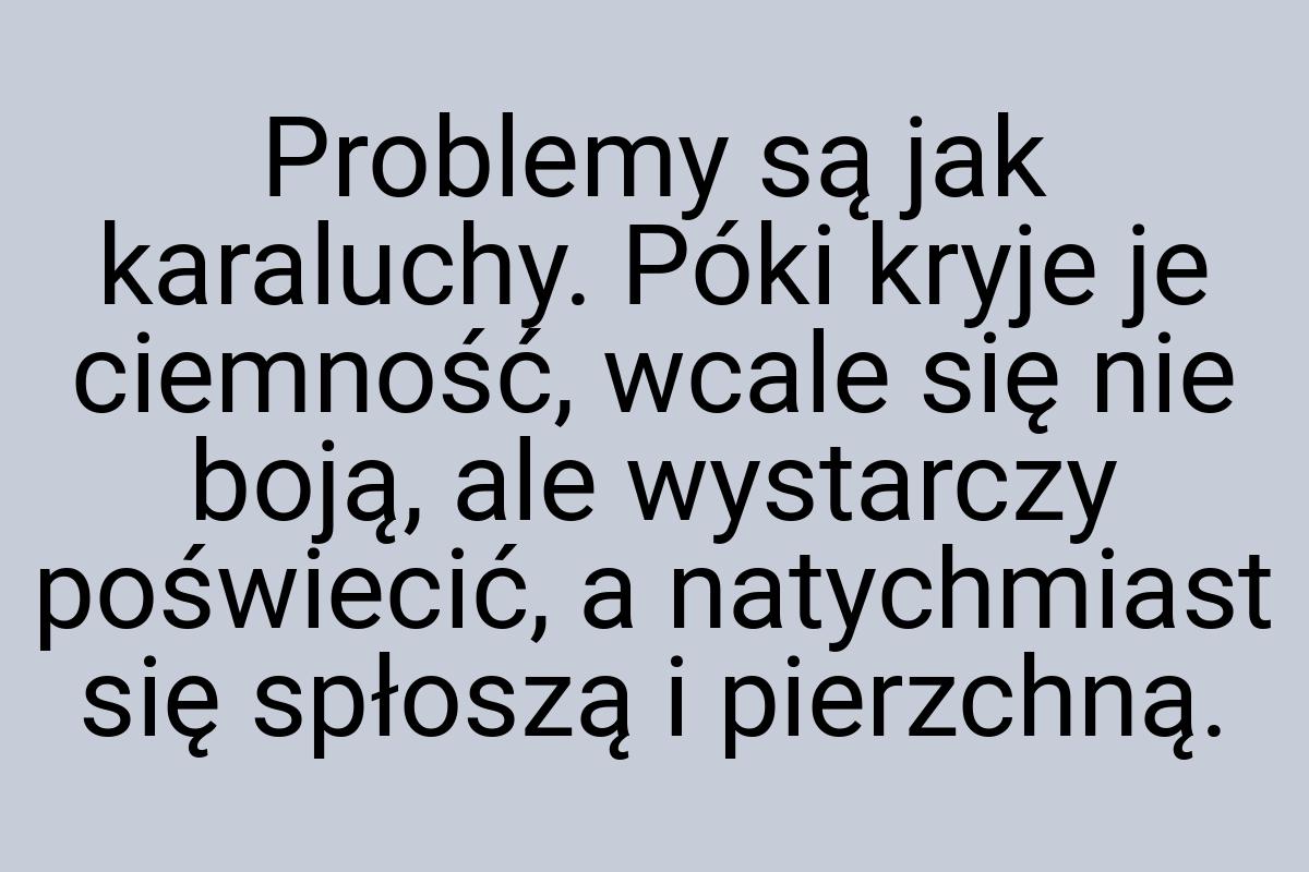 Problemy są jak karaluchy. Póki kryje je ciemność, wcale