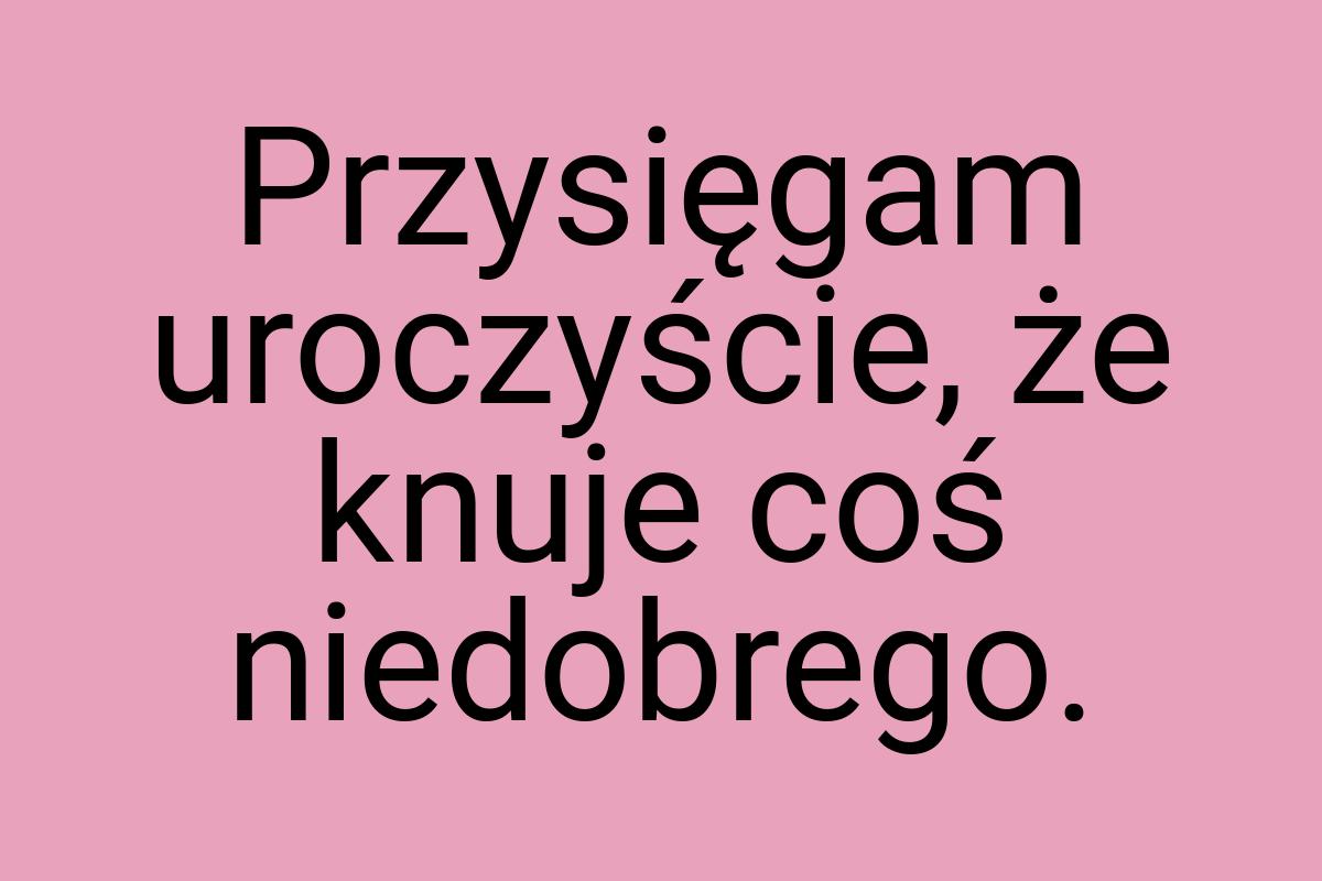 Przysięgam uroczyście, że knuje coś niedobrego