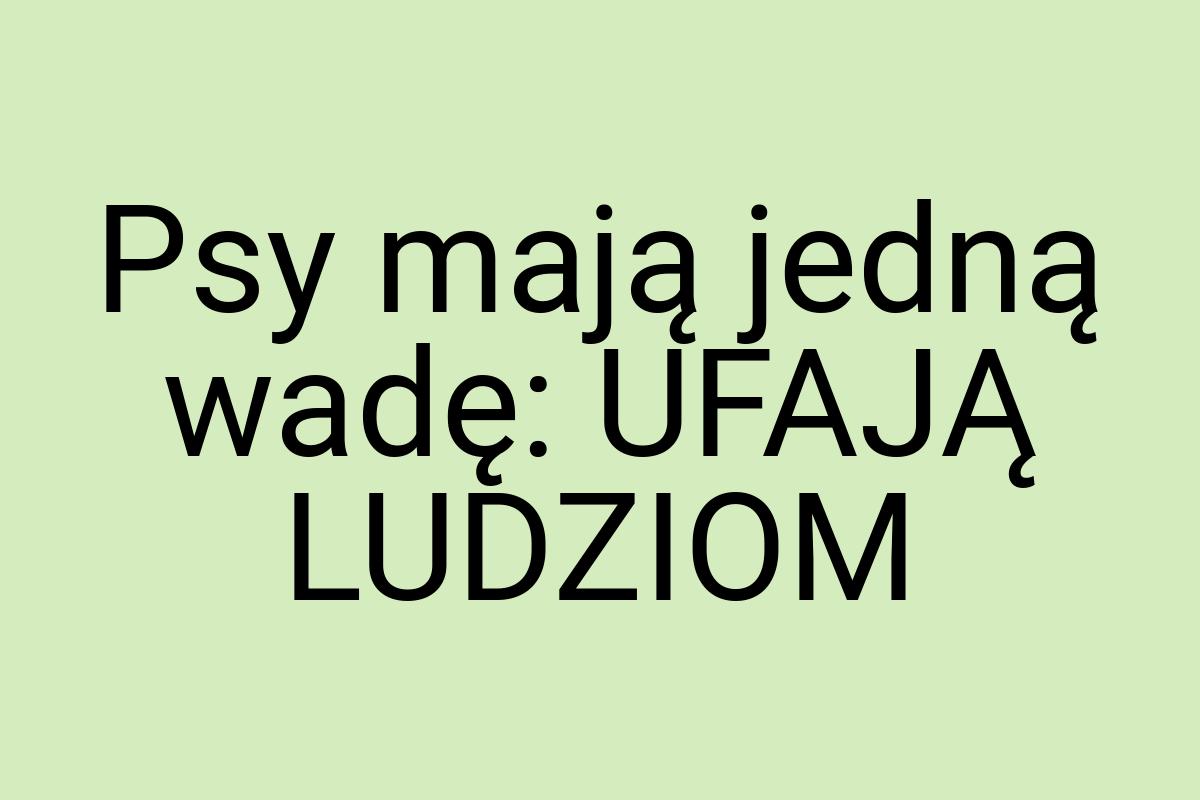 Psy mają jedną wadę: UFAJĄ LUDZIOM