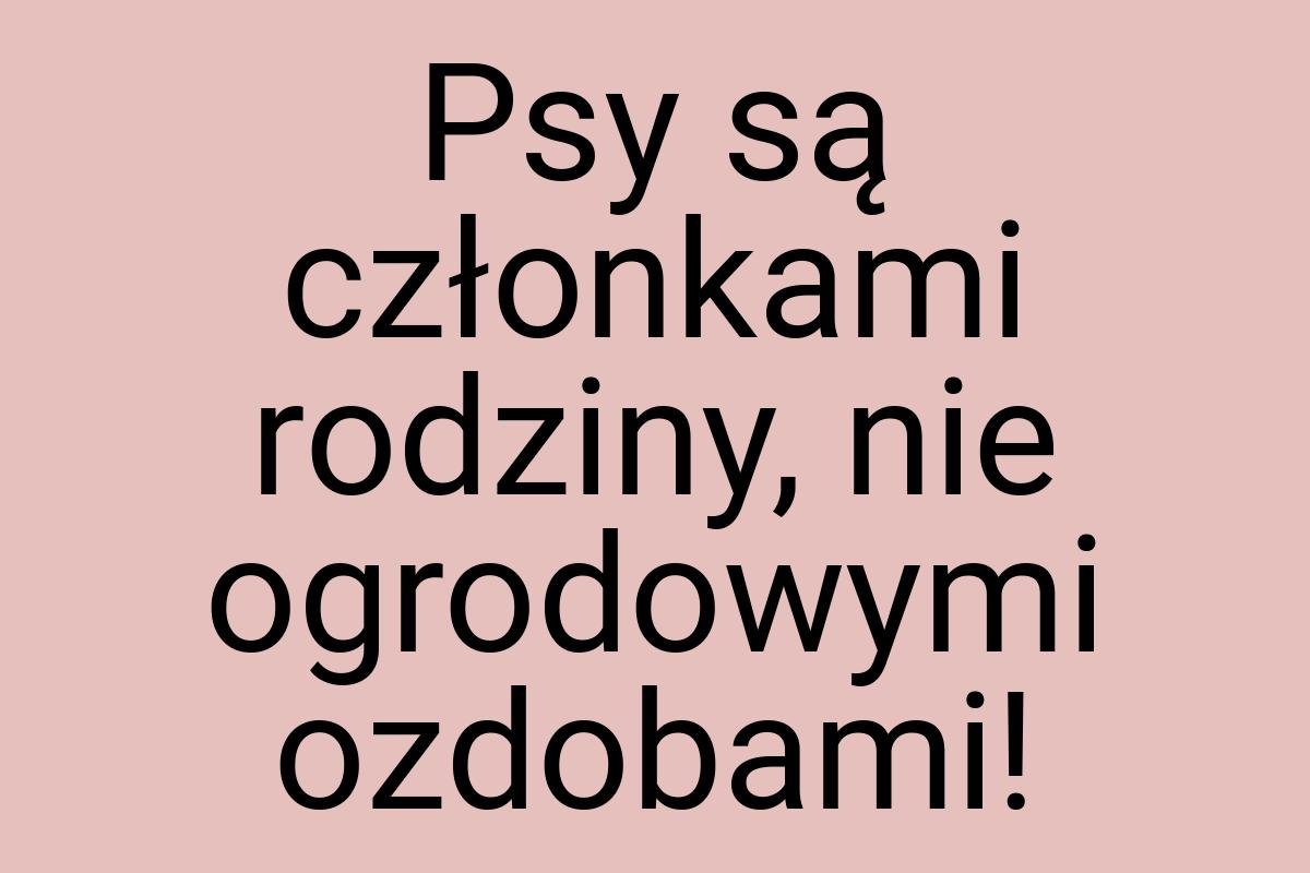 Psy są członkami rodziny, nie ogrodowymi ozdobami