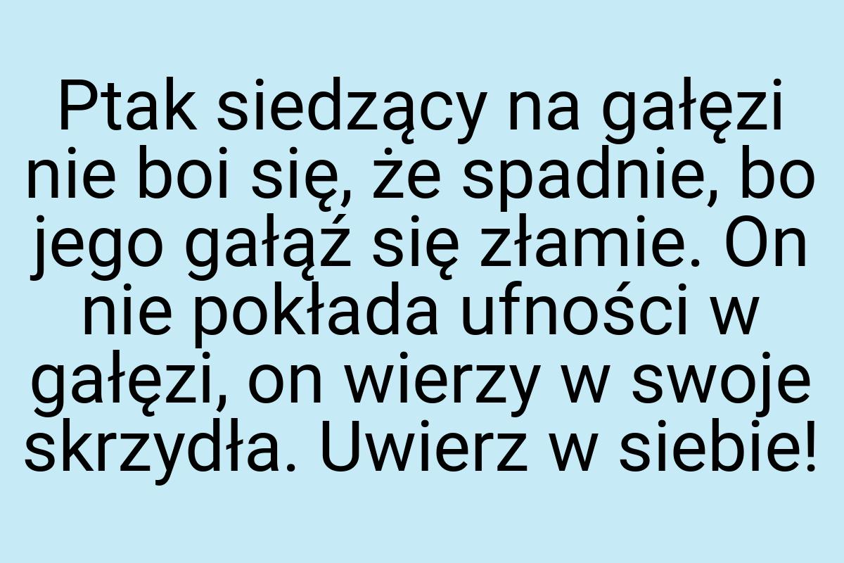 Ptak siedzący na gałęzi nie boi się, że spadnie, bo jego