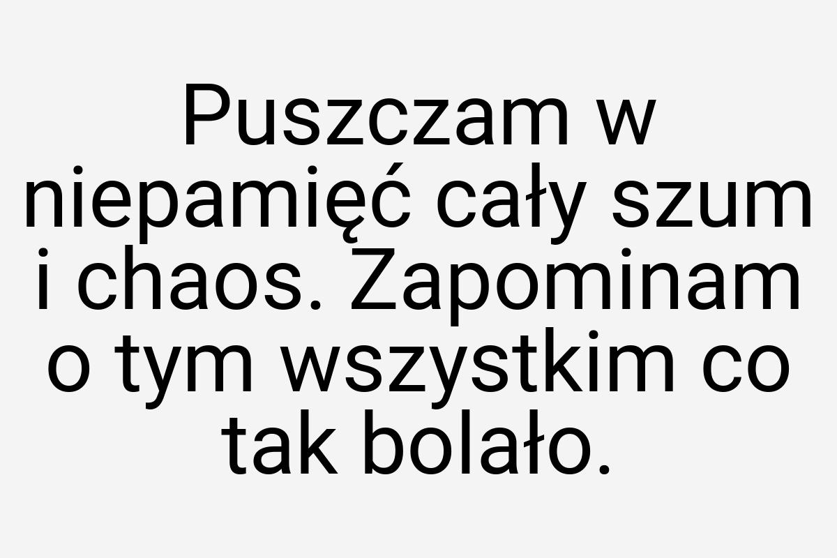 Puszczam w niepamięć cały szum i chaos. Zapominam o tym