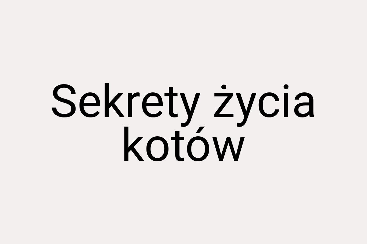 Sekrety życia kotów