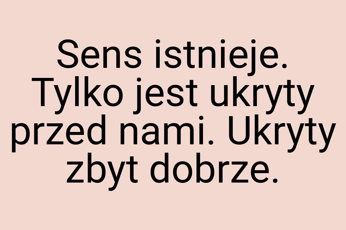 Sens istnieje. Tylko jest ukryty przed nami. Ukryty zbyt