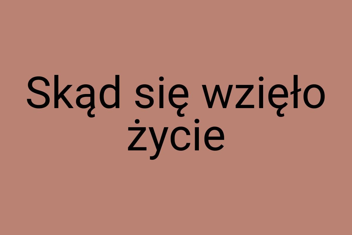 Skąd się wzięło życie