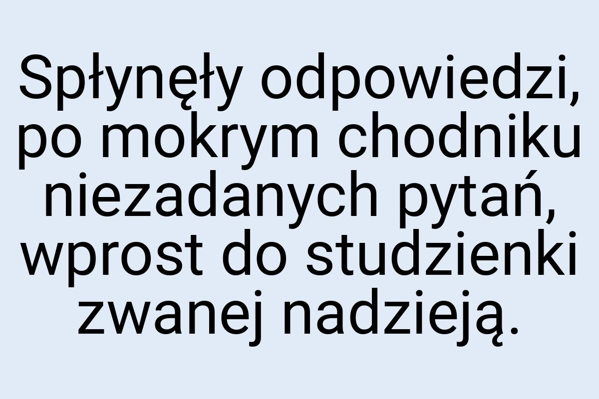 Spłynęły odpowiedzi, po mokrym chodniku niezadanych pytań