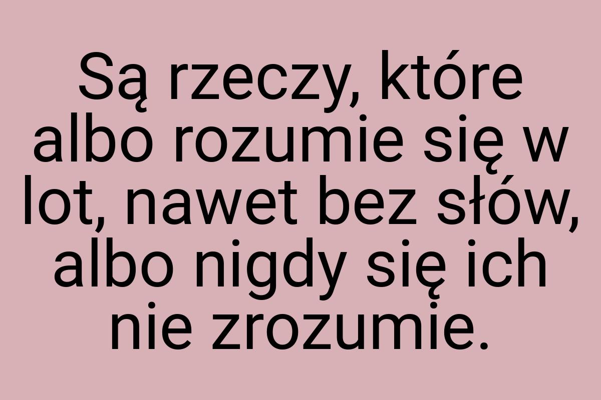 Są rzeczy, które albo rozumie się w lot, nawet bez słów