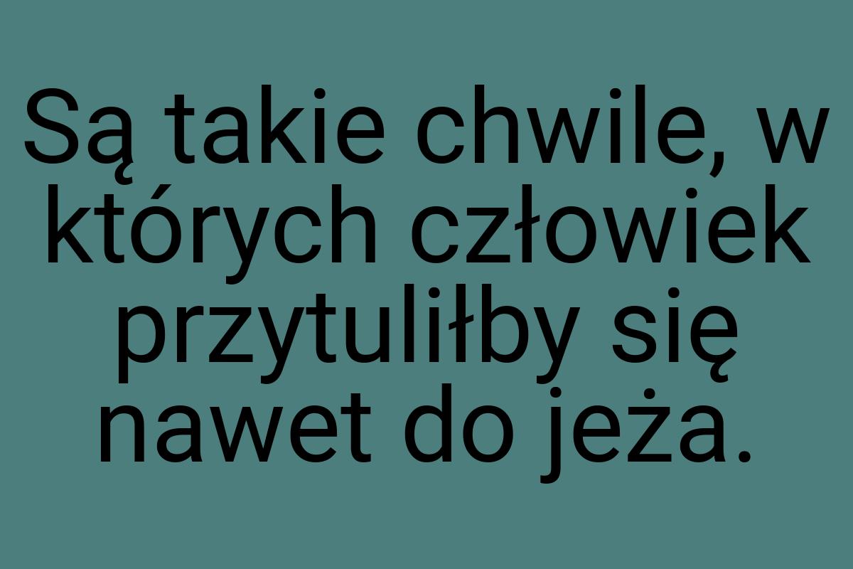 Są takie chwile, w których człowiek przytuliłby się nawet