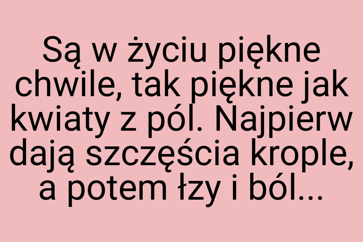 Są w życiu piękne chwile, tak piękne jak kwiaty z pól