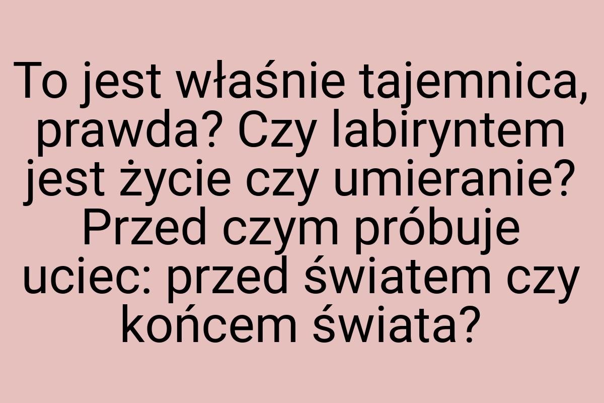 To jest właśnie tajemnica, prawda? Czy labiryntem jest