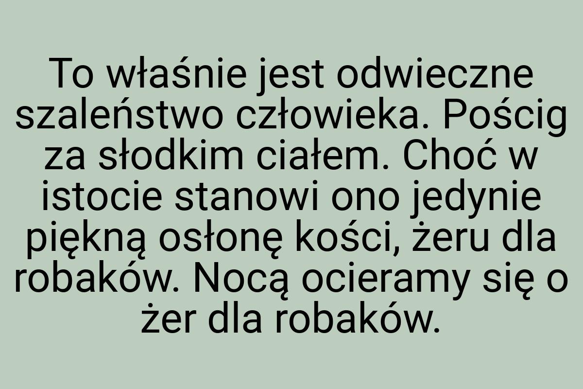 To właśnie jest odwieczne szaleństwo człowieka. Pościg za