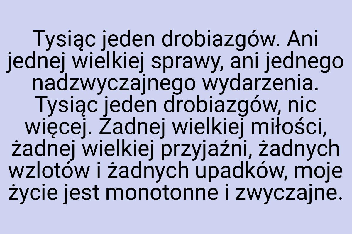 Tysiąc jeden drobiazgów. Ani jednej wielkiej sprawy, ani