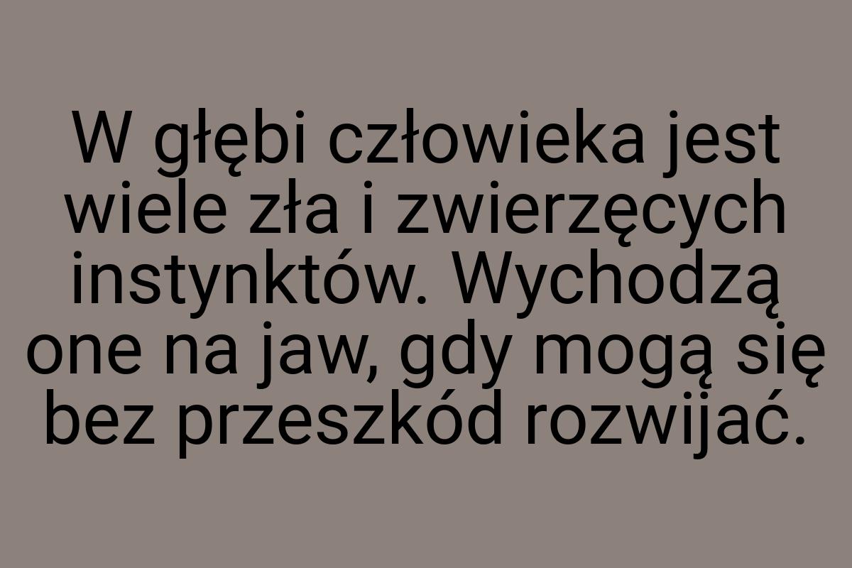 W głębi człowieka jest wiele zła i zwierzęcych instynktów