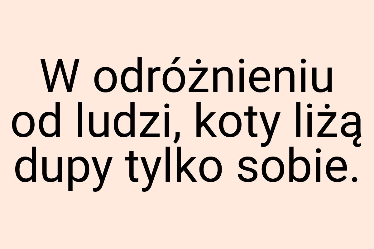 W odróżnieniu od ludzi, koty liżą dupy tylko sobie