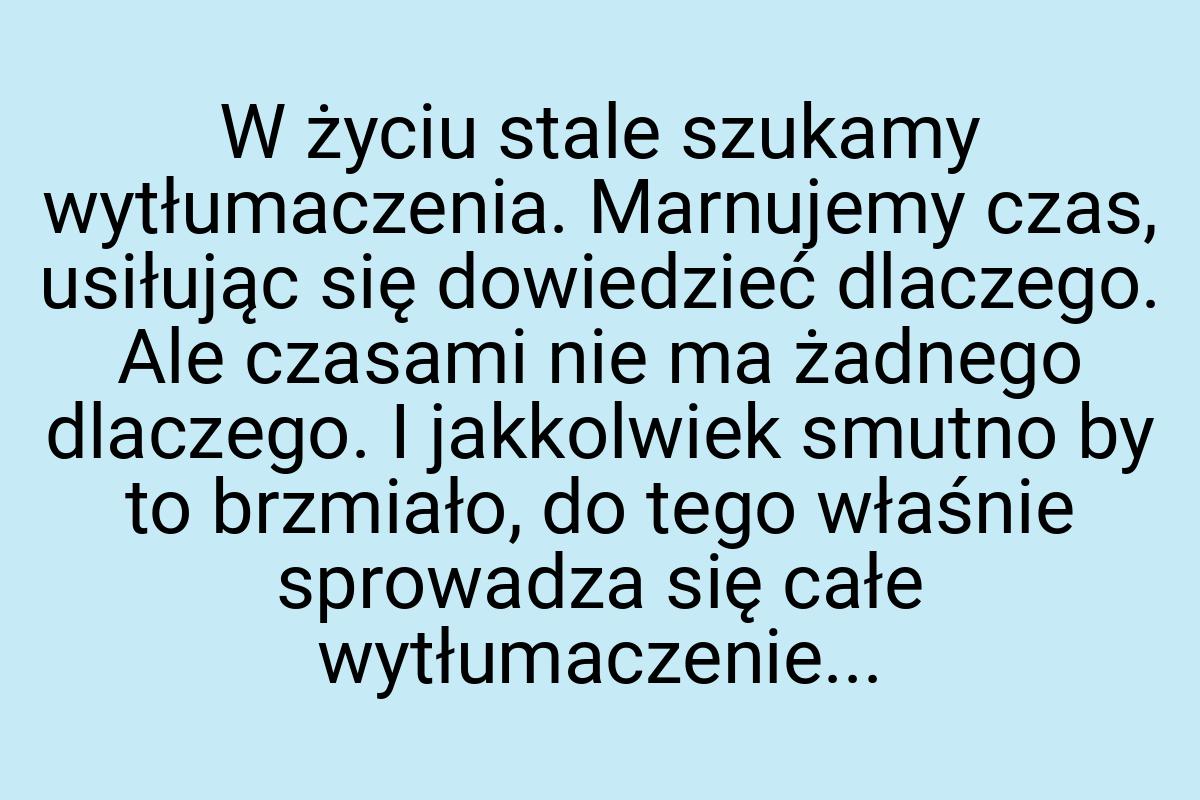 W życiu stale szukamy wytłumaczenia. Marnujemy czas