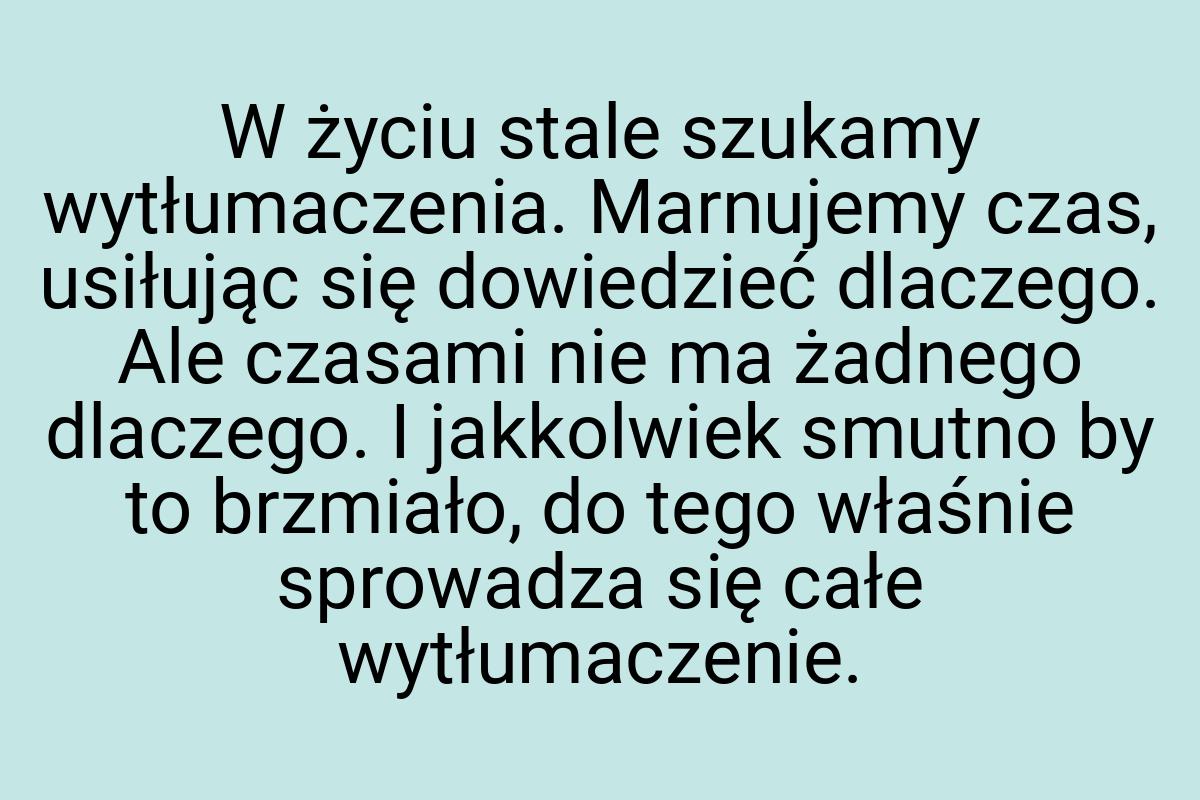 W życiu stale szukamy wytłumaczenia. Marnujemy czas