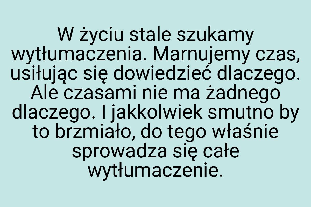 W życiu stale szukamy wytłumaczenia. Marnujemy czas