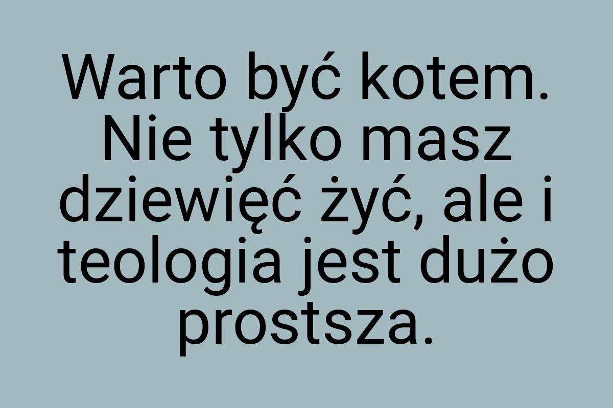 Warto być kotem. Nie tylko masz dziewięć żyć, ale i