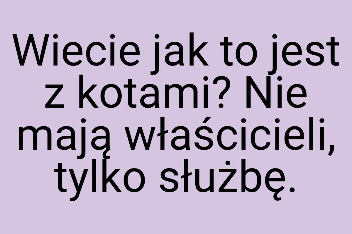 Wiecie jak to jest z kotami? Nie mają właścicieli, tylko