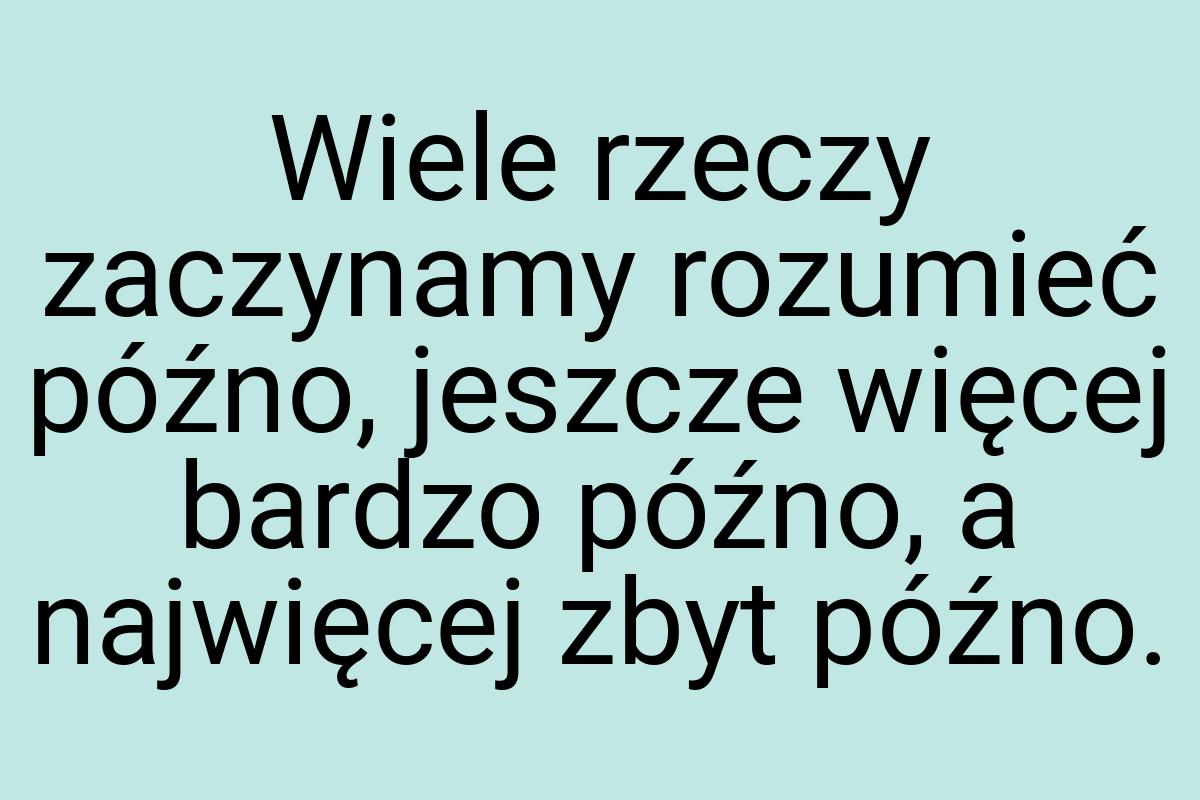 Wiele rzeczy zaczynamy rozumieć późno, jeszcze więcej