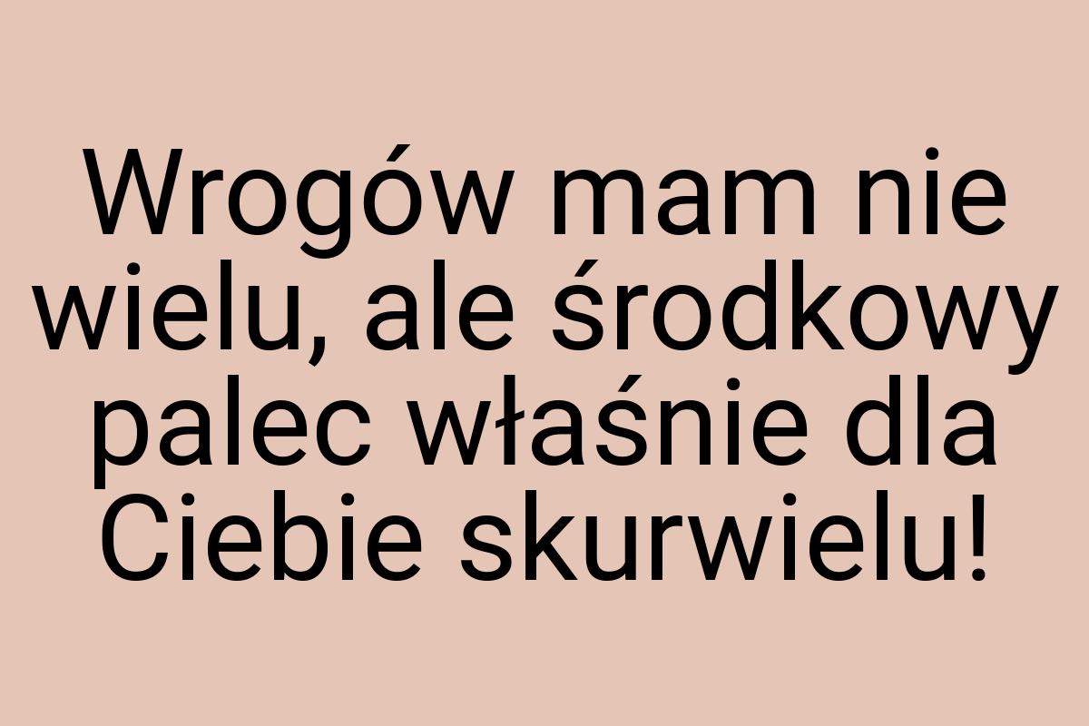 Wrogów mam nie wielu, ale środkowy palec właśnie dla Ciebie