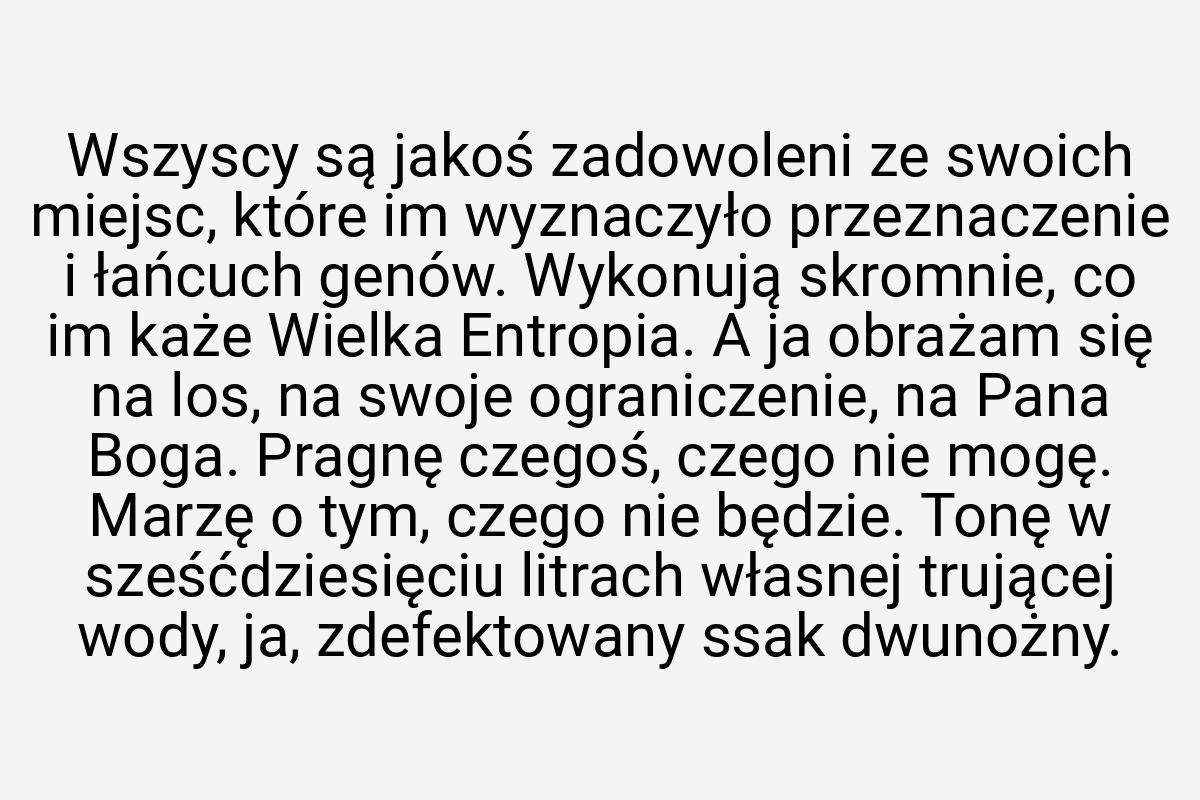 Wszyscy są jakoś zadowoleni ze swoich miejsc, które im