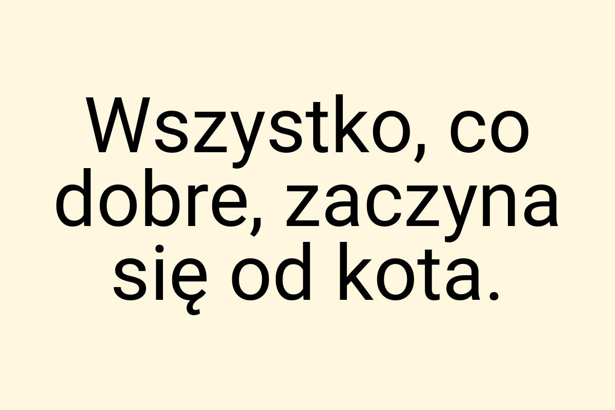 Wszystko, co dobre, zaczyna się od kota