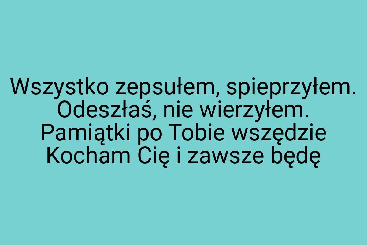 Wszystko zepsułem, spieprzyłem. Odeszłaś, nie wierzyłem