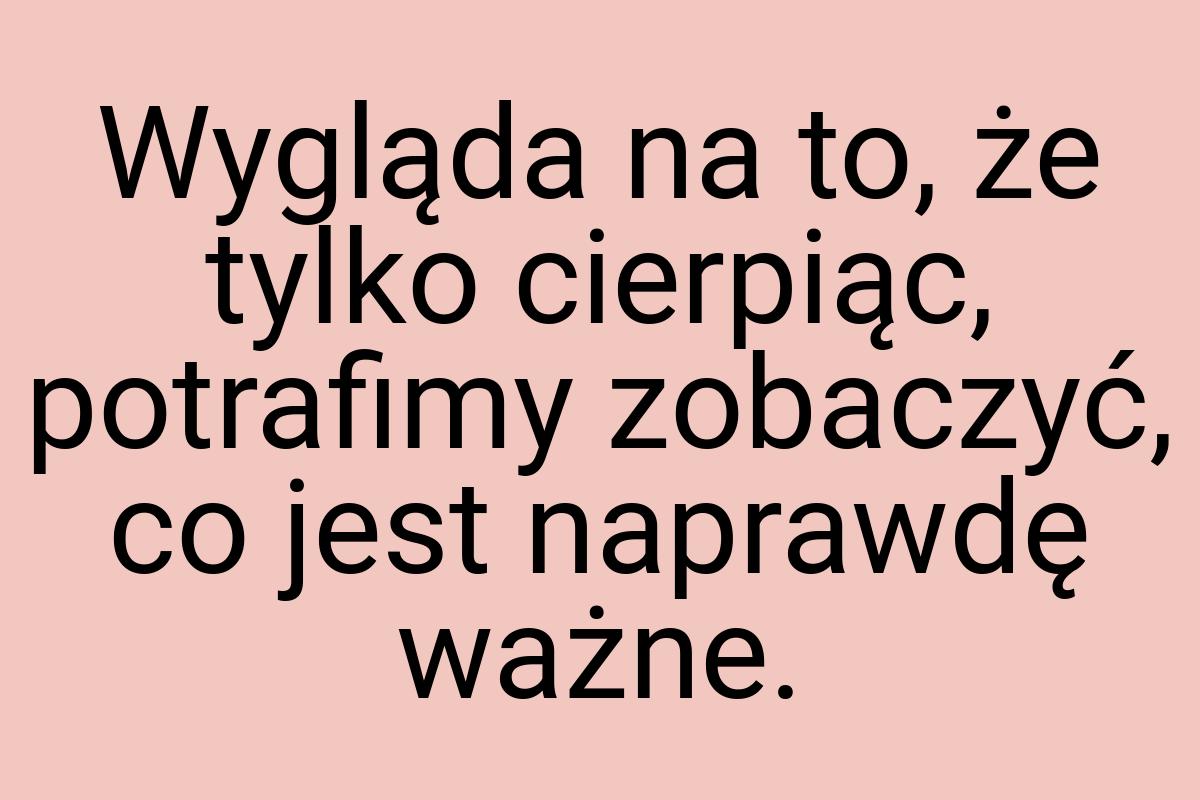 Wygląda na to, że tylko cierpiąc, potrafimy zobaczyć, co