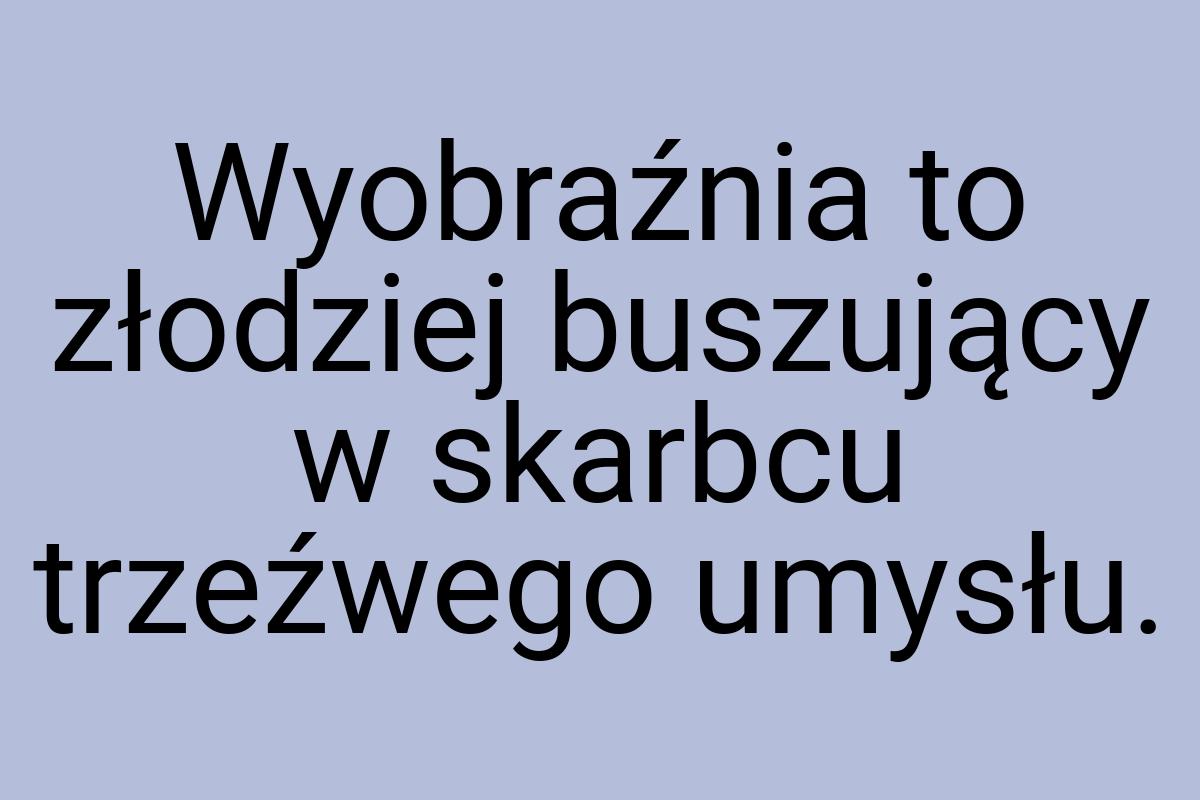 Wyobraźnia to złodziej buszujący w skarbcu trzeźwego umysłu