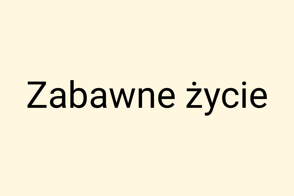 Zabawne życie