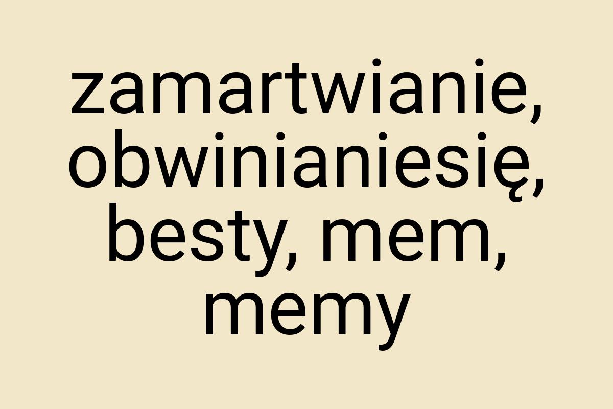 Zamartwianie, obwinianiesię, besty, mem, memy