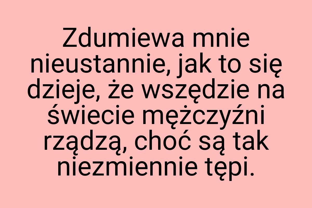 Zdumiewa mnie nieustannie, jak to się dzieje, że wszędzie