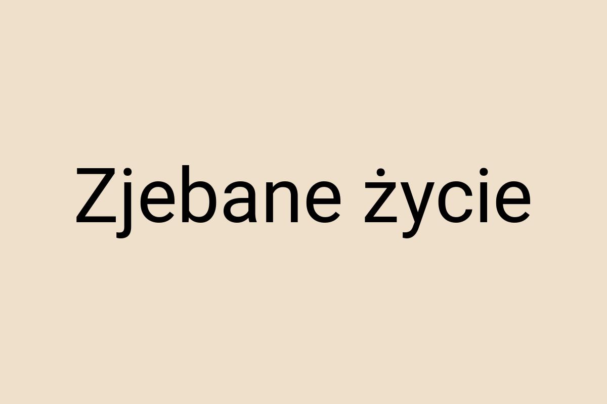 Zjebane życie