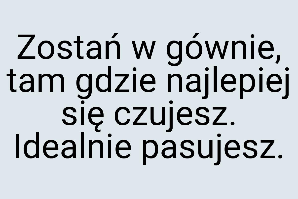 Zostań w gównie, tam gdzie najlepiej się czujesz. Idealnie