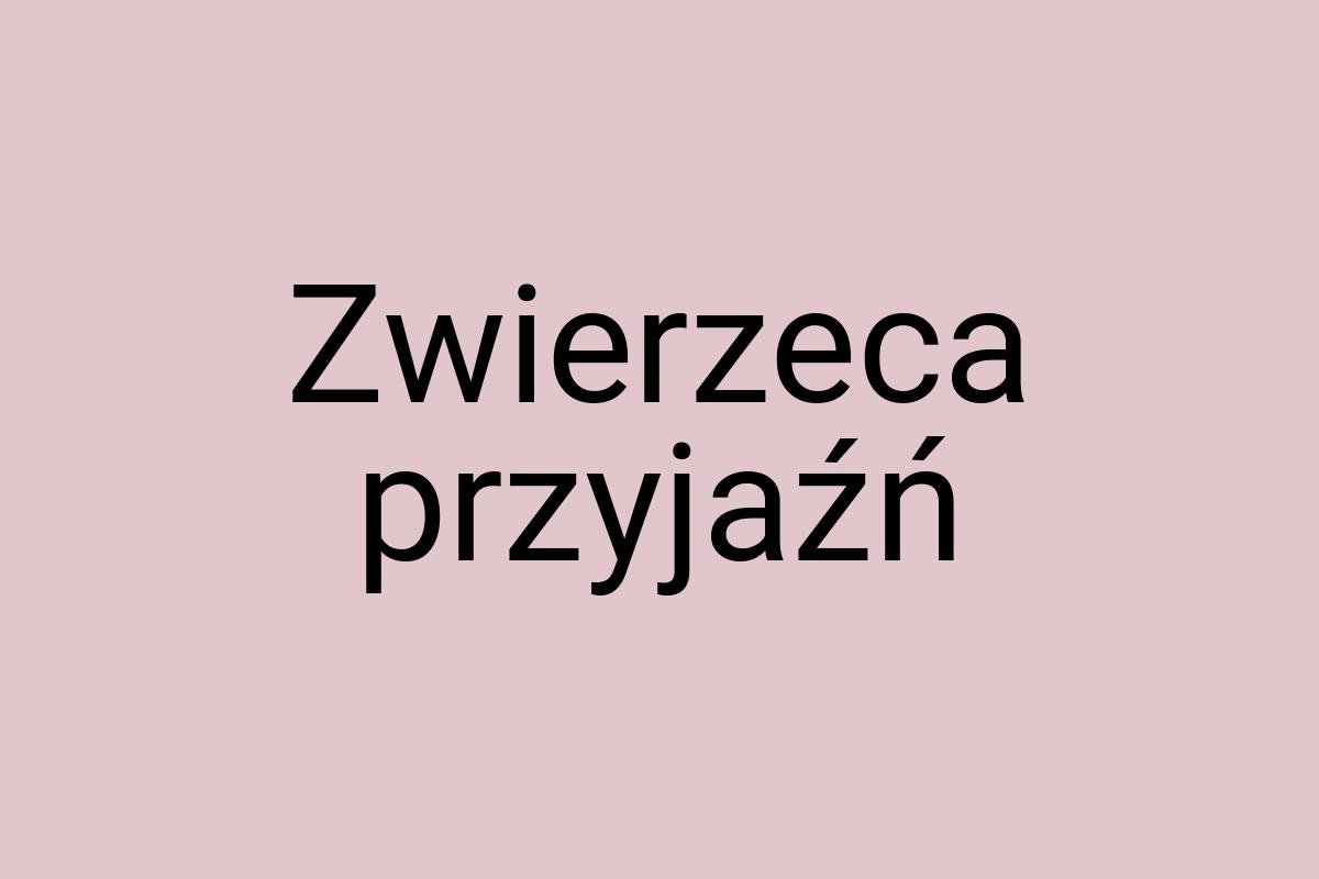 Zwierzeca przyjaźń