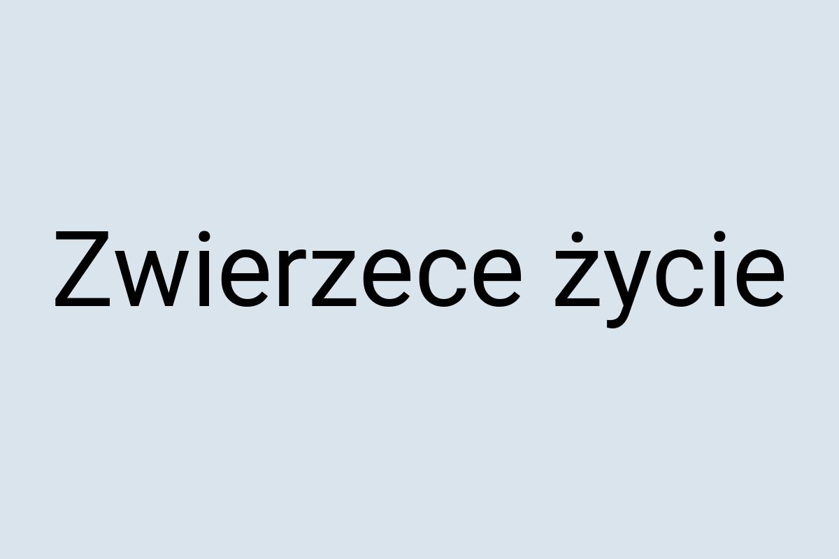 Zwierzece życie