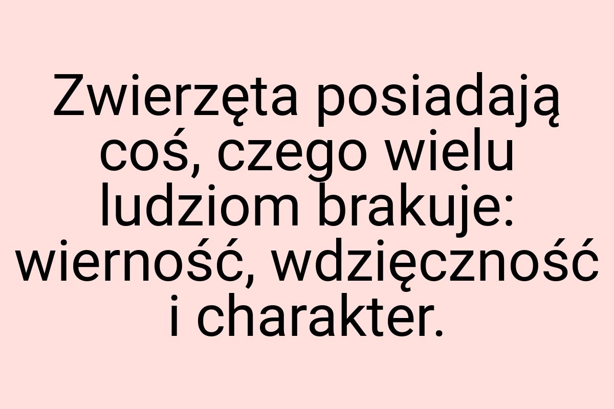 Zwierzęta posiadają coś, czego wielu ludziom brakuje