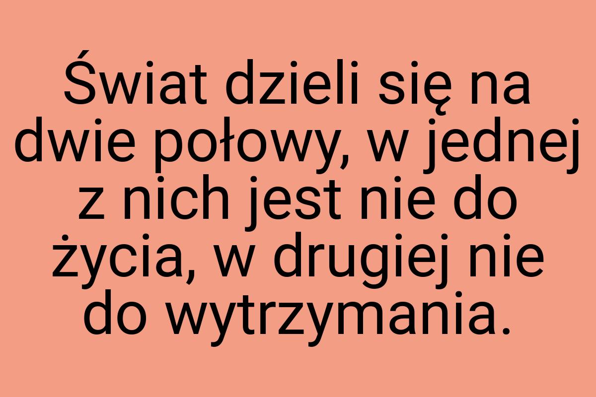 Świat dzieli się na dwie połowy, w jednej z nich jest nie