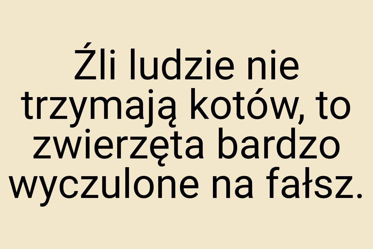 Źli ludzie nie trzymają kotów, to zwierzęta bardzo