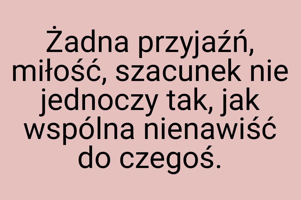 Żadna przyjaźń, miłość, szacunek nie jednoczy tak, jak