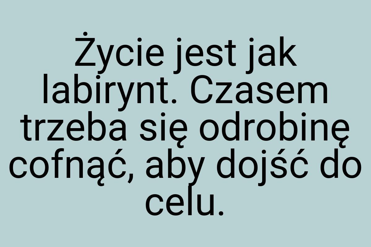 Życie jest jak labirynt. Czasem trzeba się odrobinę cofnąć