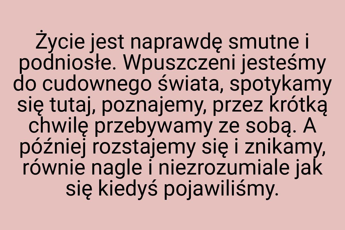 Życie jest naprawdę smutne i podniosłe. Wpuszczeni jesteśmy