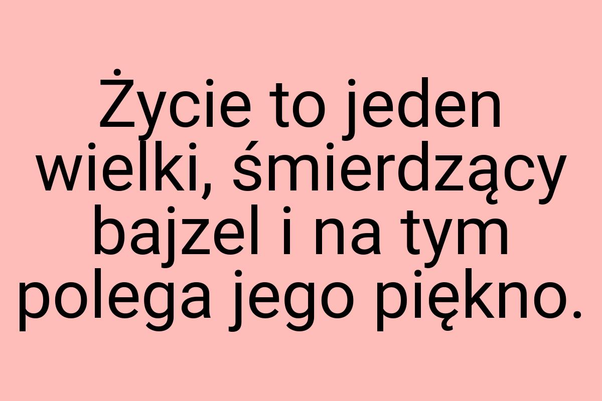 Życie to jeden wielki, śmierdzący bajzel i na tym polega