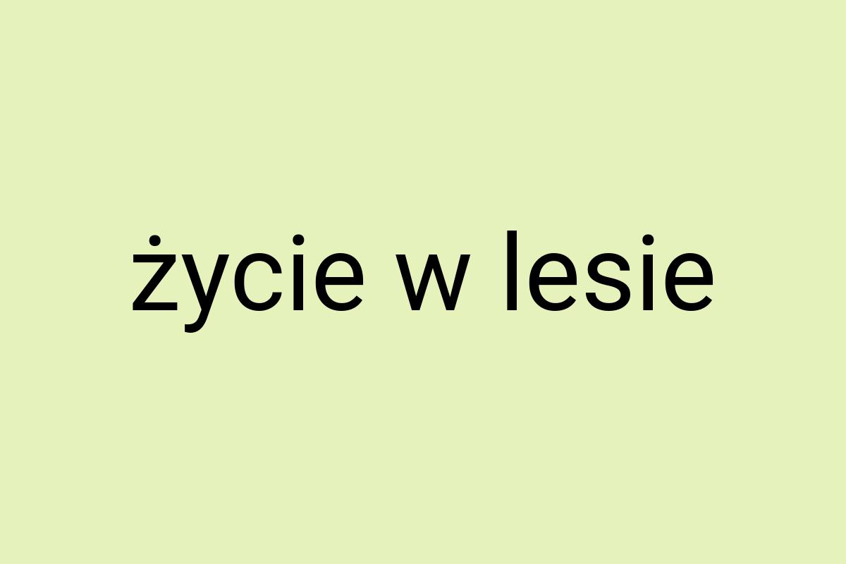 Życie w lesie