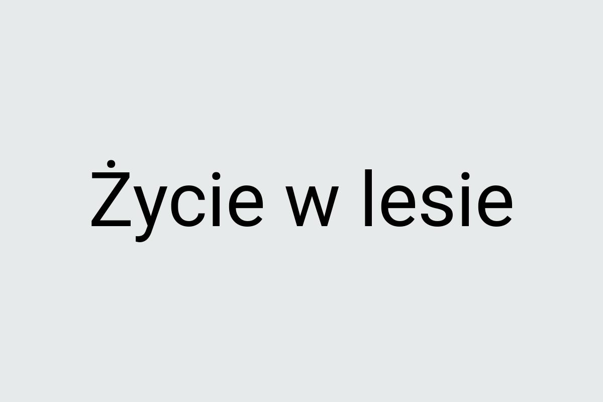 Życie w lesie