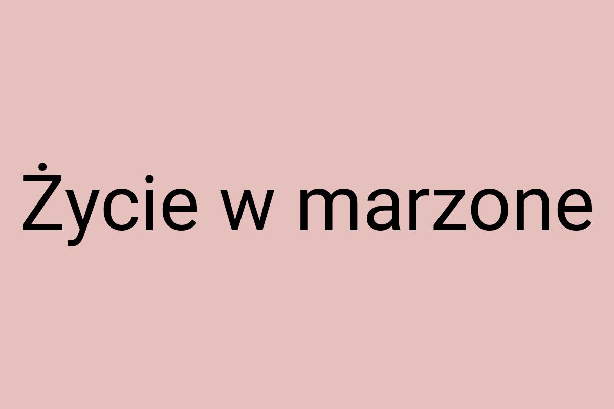 Życie w marzone